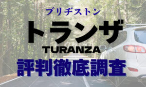 ブリヂストン トランザ 評判