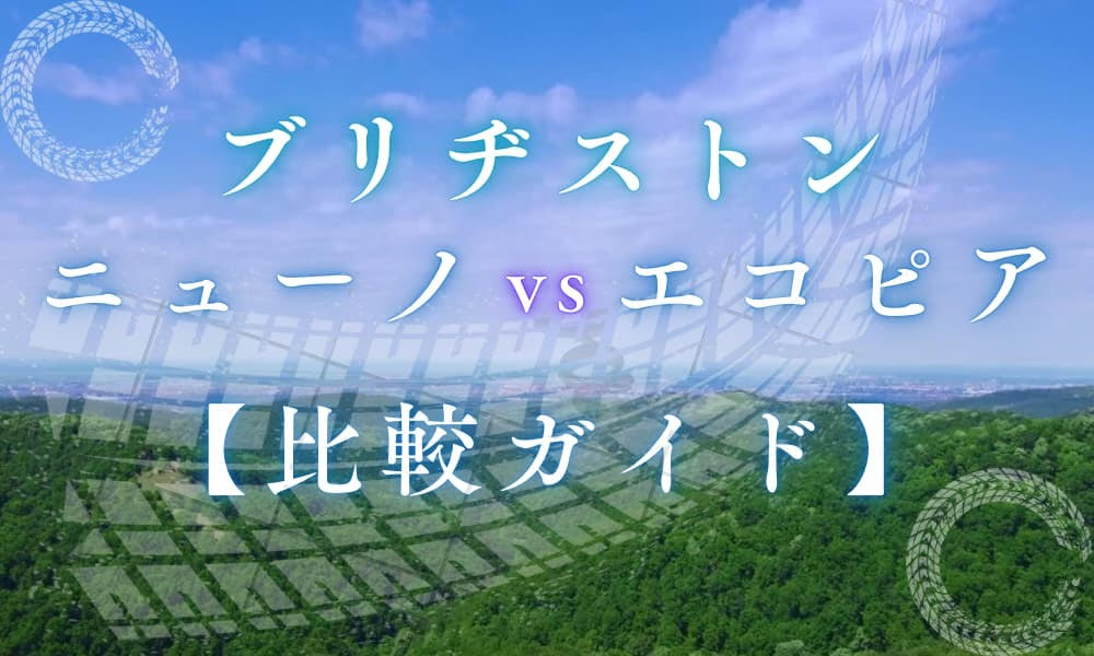 ブリヂストン　ニューノ　エコピア　比較